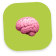 Icon cerveau